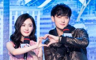 枫丹双子兄妹爆料视频,幕后故事与情感纠葛  第1张